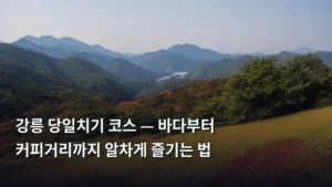 강릉 당일치기 코스 — 바다부터 커피거리까지 알차게 즐기는 법