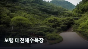 보령 대천해수욕장, 여름 휴가 계획은 이걸로 끝내자!