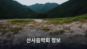 산사음악회 정보: 고요함 속에서 만나는 깊은 울림의 시간