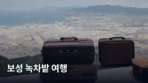 보성 녹차밭 여행, 봄의 싱그러움을 가득 담아 떠나는 완벽 가이드