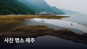 제주 사진 명소 투어: 인생샷 건지는 최고의 스팟 가이드