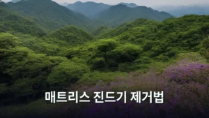 편안한 숙면을 위한 매트리스 진드기 제거법 총정리