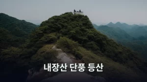 내장산 단풍 등산 코스 완벽 가이드: 황홀한 가을 산행기