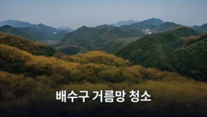 여행지 숙소 필수 체크! 쾌적한 배수구 거름망 청소 방법 대공개