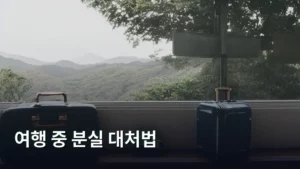 떠나면 생기는 일들: 여행 중 분실 대처법 총정리