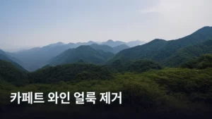 나만 겪은 줄 알았던 카페트 와인 얼룩 제거, 완벽 가이드 공개한다!