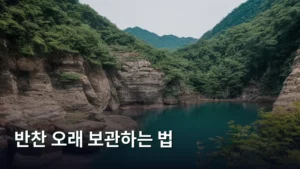 밑반찬 걱정 끝! 반찬 오래 보관하는 법 완벽 가이드
