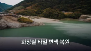 화장실 타일 변색, 셀프로 끝내는 완벽 복원 가이드