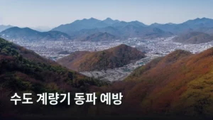 수도 계량기 동파 예방, 우리 집 물 생활 지키는 방법 총정리