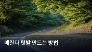 나만의 작은 녹색 공간! 베란다 텃밭 만드는 방법 완벽 가이드
